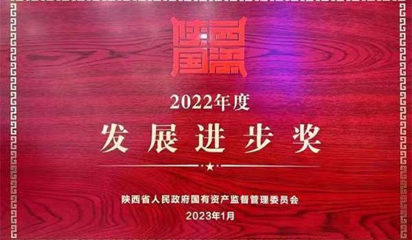 陜外集團(tuán)榮獲陜西省國(guó)資系統(tǒng)2022年度“發(fā)展進(jìn)步獎(jiǎng)”